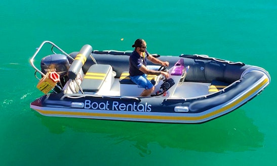 Rent A Semi-rigid Rubber Ducks For 5 Person In Cape Town, South Africa