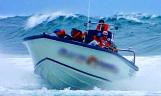 Enjoy Fishing In Richards Bay, Kwazulu-natal On Center Console