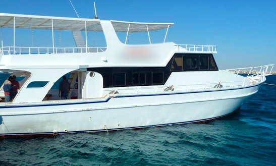 Fun-filled Diving Trips And Courses In Red Sea Governorate, Egypt