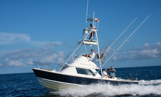 Enjoy Deep Sea Fishing On 31ft Bertram Yacht In Provincia De Veraguas, Panama