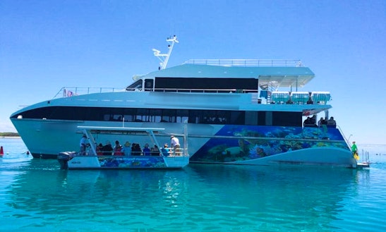 Luxury Cat Southern Great Barrier Reef Experience In Lady Musgrave Island