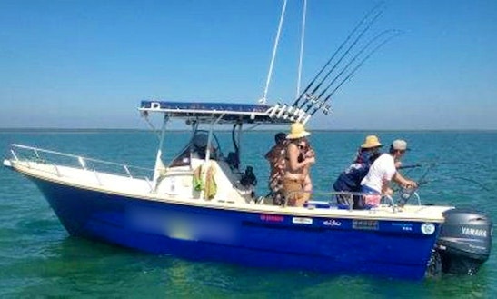 Fishing Tour In Dundee Beach - Includes Lunch And Drinks!