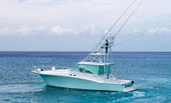Enjoy Fishing In San Miguel De Cozumel, Mexico On 45' Cabo Special Sport Fisherman