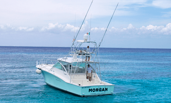 Enjoy Fishing In San Miguel De Cozumel, Mexico On 45' Cabo Sport Fisherman