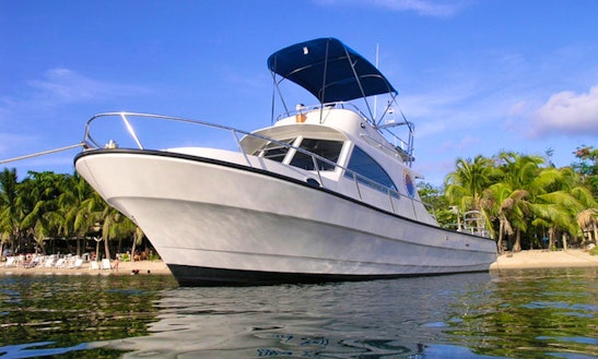 Diving And Snorkeling Trips For Up To 20 People On-board The Uba Isti In Roatan, Honduras