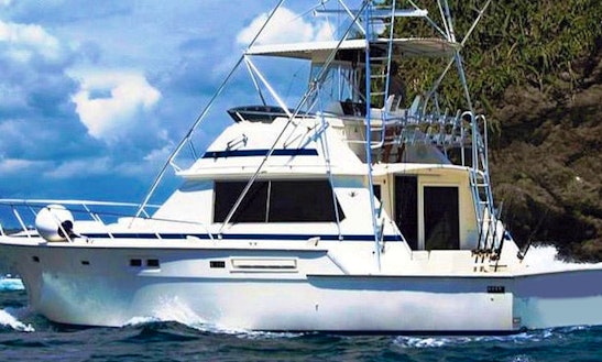 Try A Fishing Tour Onboard