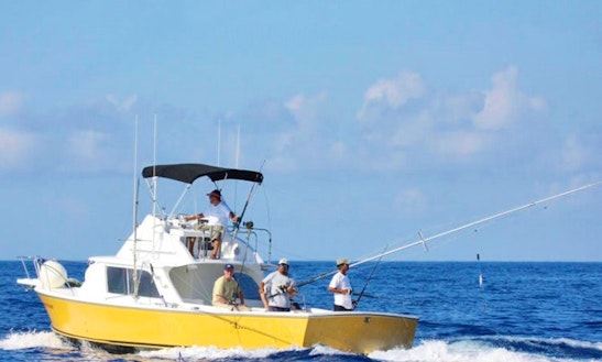 31' Sport Fishing Charter Reel Stripper In Quintana Roo, Mexico