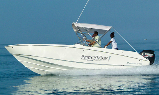 Enjoy Fishing In Flic En Flac, Mauritius On 26' Cuddy Cabin