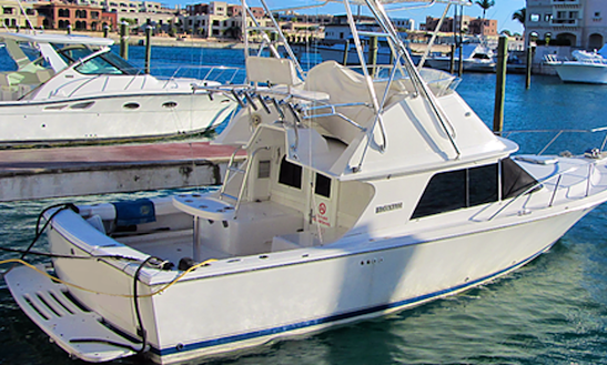 Enjoy Fishing In Punta Cana, Dominican Republic On 29' Blackfin Sport Fisherman