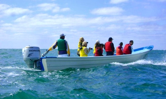 Panga Center Console Boat In Cabo San Lucas, Mexico