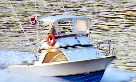 Extraordinary Sport Fishing Vacation On Boca Brava Island In Panama
