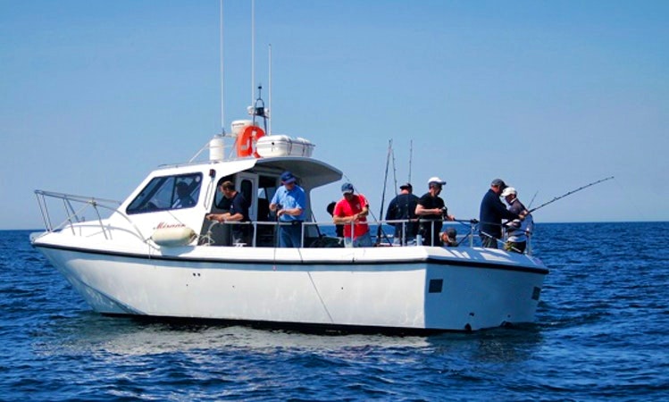 Evolution 33' Head Boat Fishing Trips in Plymouth, United Kingdom ...