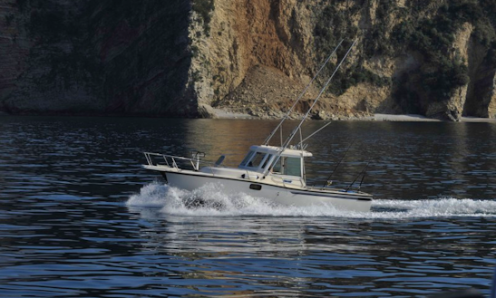 Fun Fishing Adventure On Cuddy Cabin In Sveti Stefan, Montenegro