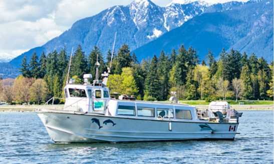 Island Hopping, Whale Watching & Tours In Vancouver, Canada