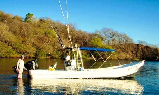 Rooster Fishing / Live Bait Fishing In Playa Hermosa, Guanacaste