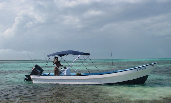 Barrier Reef Snorkel And Sand Bar Tour From Ladyville Or Belize City