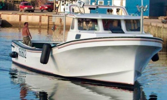 45' Miramichi Magna Marine Fiberglass Cuddy Cabin Fishing Charter In Souris