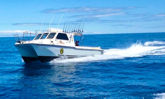 Catamaran Hire Glenelg boat rentals in south australia Catamaran Hire Glenelg boat rentals in south australia