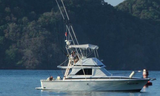 Enjoy Fishing On A 36' Bertram Sport Fisherman Yacht In Jacó, Costa Rica