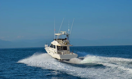 Meditarranean 38 Sport Fisherman Fishing Charter In Puerto Vallarta, Mexico