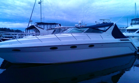 46′ Meridian Luxury Yacht Boat Rentals in Bellevue