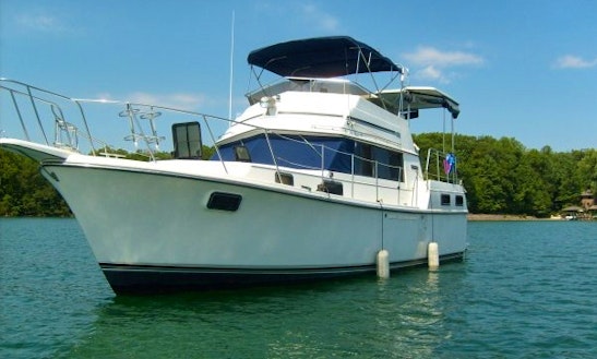We Have Your Yacht, Captain, Sun And Fun .... Let's Go --- Plus The Sailboat's Included!