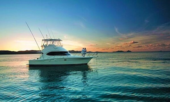 Captained Charter On 37' Riviera Flybridge Cruiser In Sag Harbor, New York