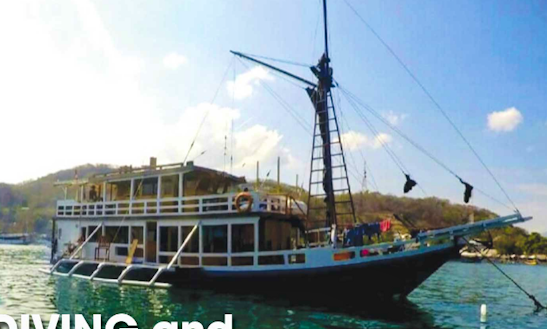 Enjoy The Experience Of Cruising On