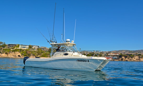 Fishing Charters Around Newport Beach, Huntington, And Dana Point